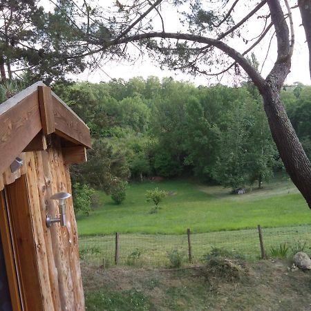 La Cabane En Bois Villemur-sur-Tarn Εξωτερικό φωτογραφία