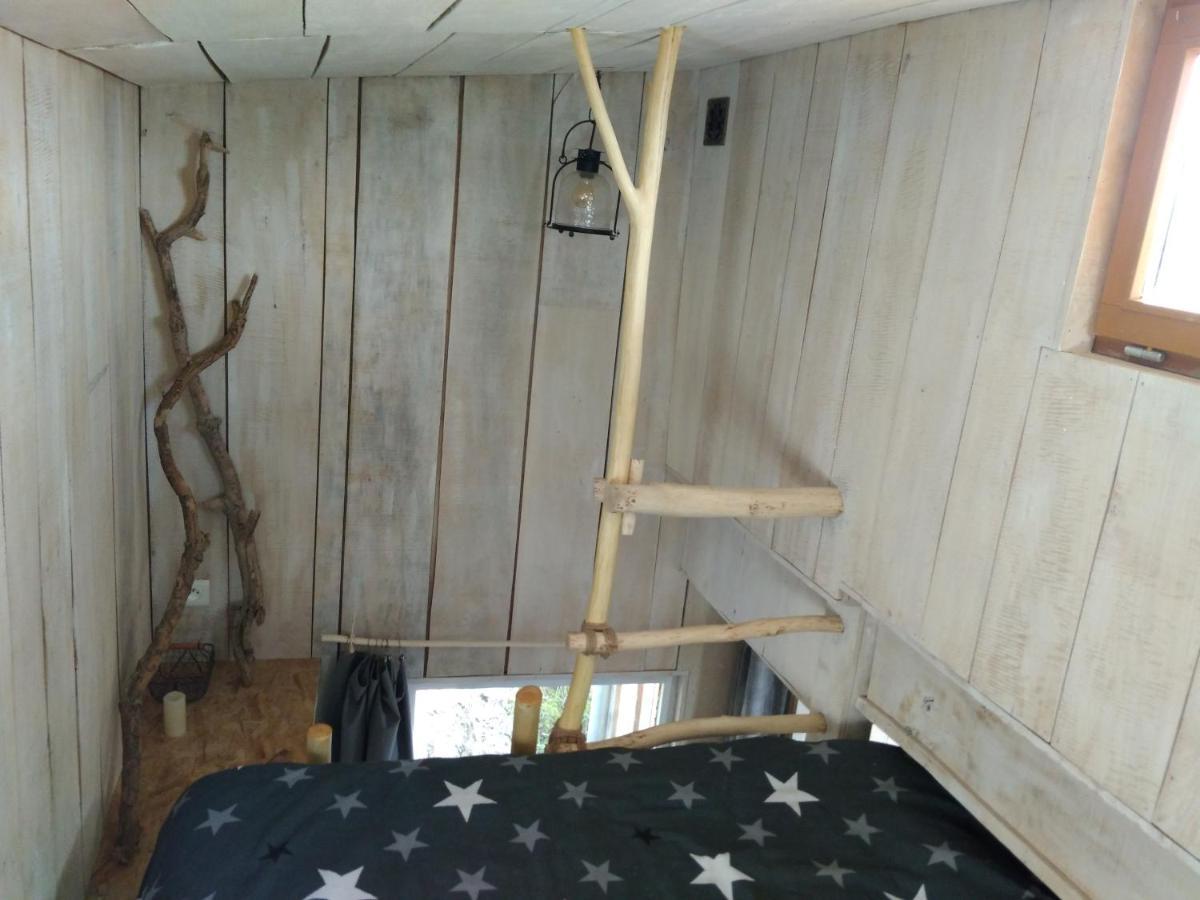 La Cabane En Bois Villemur-sur-Tarn Εξωτερικό φωτογραφία