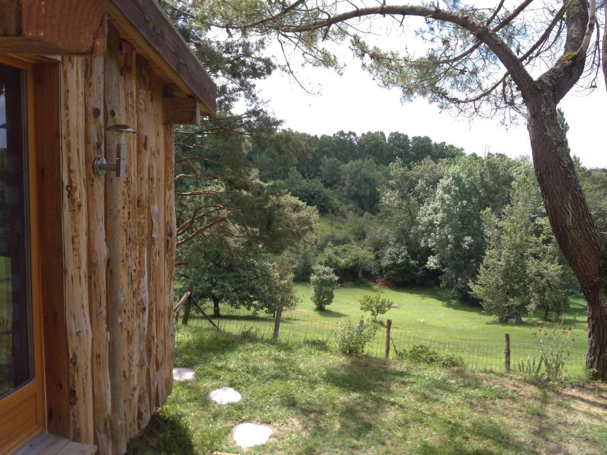 La Cabane En Bois Villemur-sur-Tarn Εξωτερικό φωτογραφία
