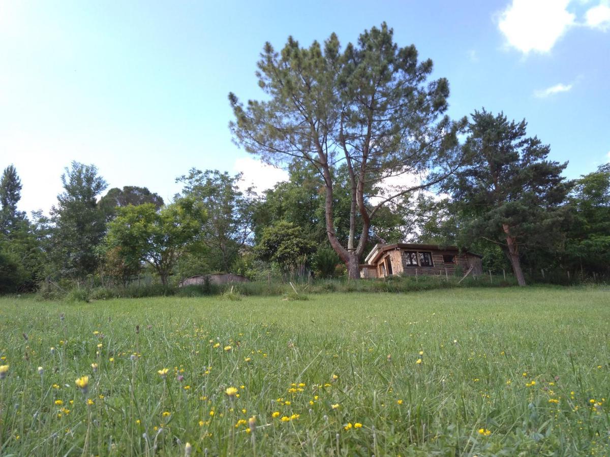 La Cabane En Bois Villemur-sur-Tarn Εξωτερικό φωτογραφία