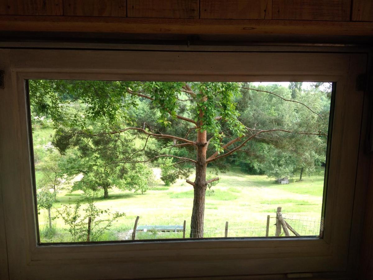 La Cabane En Bois Villemur-sur-Tarn Εξωτερικό φωτογραφία