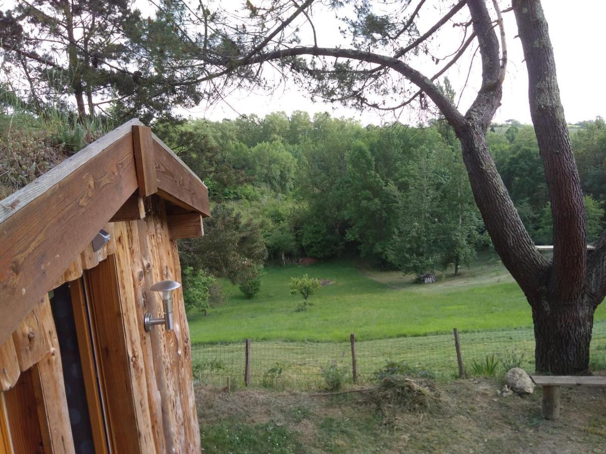 La Cabane En Bois Villemur-sur-Tarn Εξωτερικό φωτογραφία